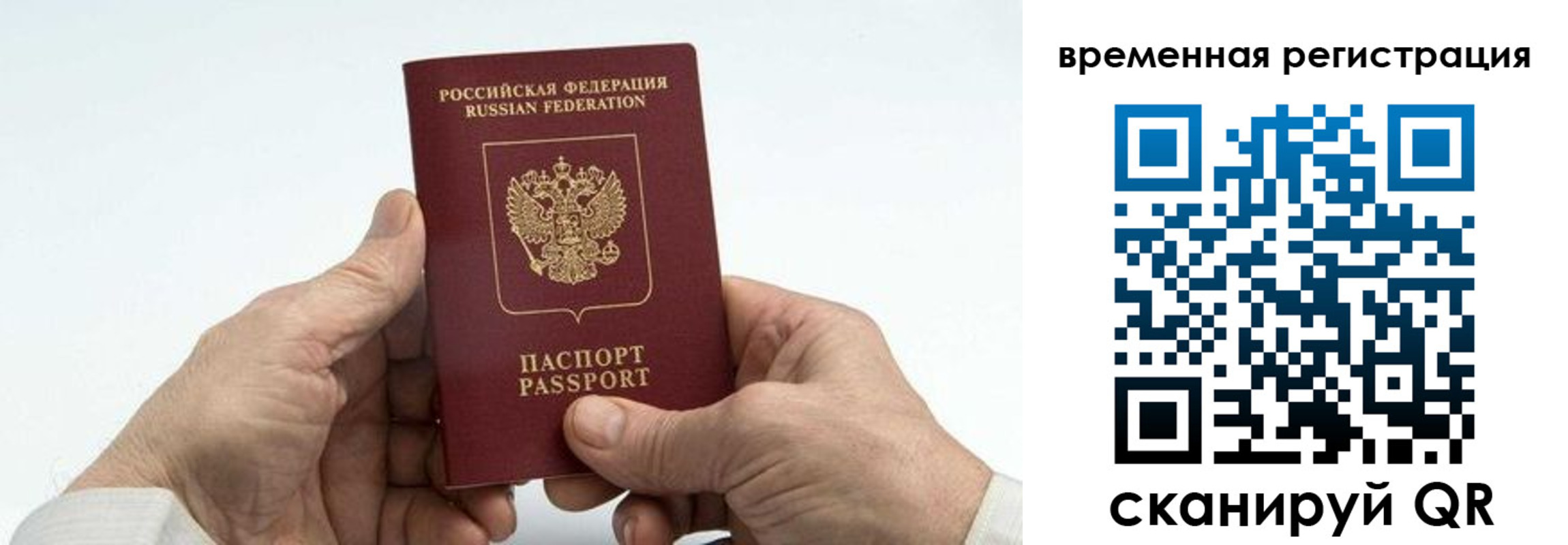 прописка для работы в Нелидово